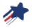 American Risk Insurance Logo